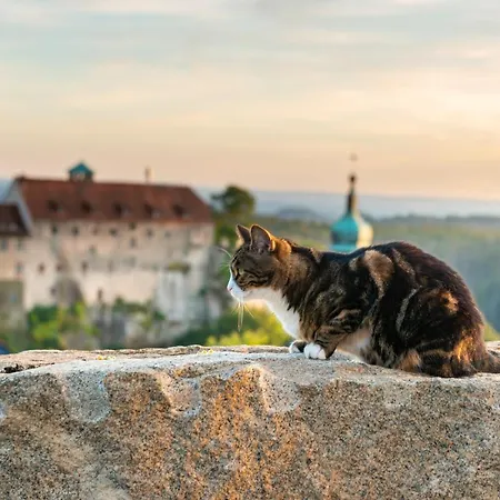 Zur Aussicht Hohnstein