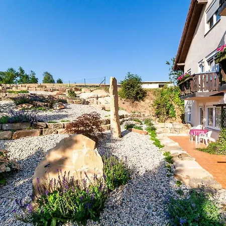 Hotel Zur Aussicht 3*